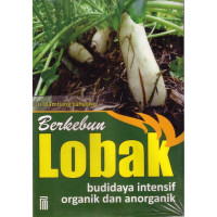 Image of Berkebun lobak