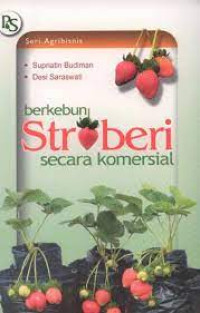 Image of Berkebun stroberi secara komersial
