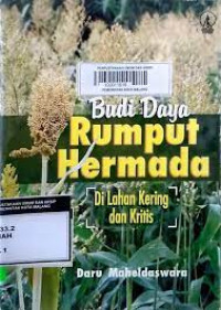 Image of Budidaya Rumput Hermada di lahan kritis dan kering